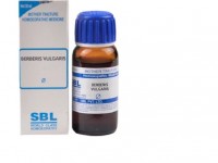 Berberis Vulgaris Mother Tincture Wikipedia