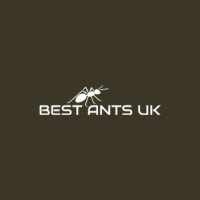 Ant-keeping advice and tips