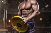 Muscle Building Supplements: What’s Better for Muscle Growth?