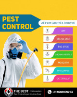 Best Pest Control Pune| Extermination Services | Bug Control
