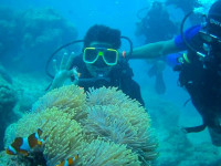 Best Scuba Diving Sites in Havelock Islands