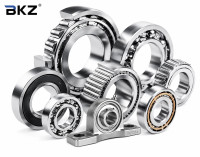 ISO 9001 Certified Bearing Manufacturer from China - BKZ Industry