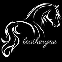 Handmade Leather Horse Saddles & Dog Collars – India
