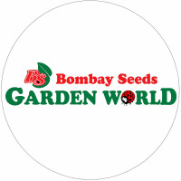 Vegetable seeds in Byculla East