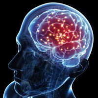 https://supplementgo.com/cognilift/