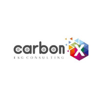 Virtual CFO Services