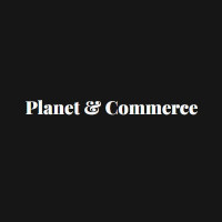 Rupaliyan Techventures and consultancy limited