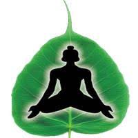 Chakrapani Ayurveda Clinic & Panchakarma Center | Best Ayurveda & Detox in Jaipur