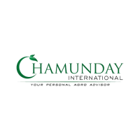 Peanut Kernel Exporter from India | Agro Commodity Exporter | Chamunday International