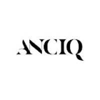 Anciq Buy Original Paintings from Emerging Artists