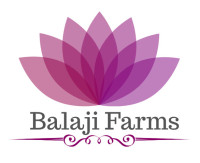 Best Banquet Hall in Patna | Beautiful Wedding Venue – Balaji Farms