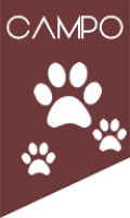 Campo East Africa Safaris