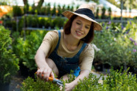 Lawn mowing services hoppers crossing near me cost - I love gardening