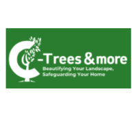 C-Trees & More