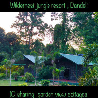 Experience the Best Dandeli Resort