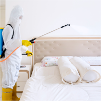Bed Bugs Control Chennai | Pest Rid Naturals
