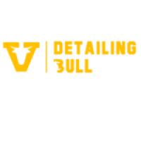 Best PPF in Delhi – Premium Paint Protection by DetailingBull