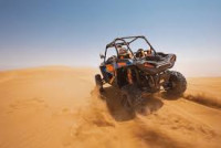 Buggy tour