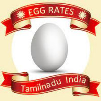 egg rate today