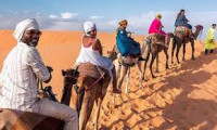 Fest to marrakech desert tour