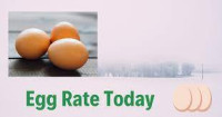 Necc egg rate today