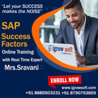 SAP Success Factors training and placement | Igrowsoft