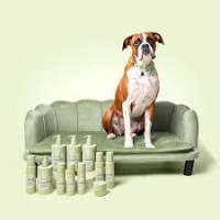 Paraben free pet shampoo