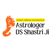 Best Online Love Problem Solution Astrologer DS Shastri Ji