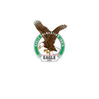 Eagle Packers and Movers