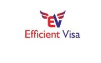 Efficient Visa for Professional Support