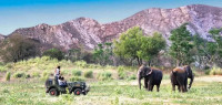 Elephant Ride In Jaipur – Unforgettable Experience with Elejungle