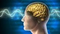 https://road4fitness.com/brain-focus-boost-canada/