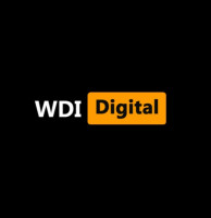 Website Designer Expert