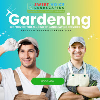 Landscaping Company in Abu Dhabi