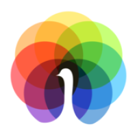 peafowl it solution