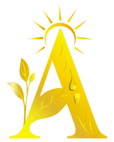 Dr. Ajayita's Ayurveda Clinic – Best Ayurvedic Doctor in Chandigarh