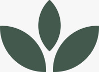 Luxe Spa and Wellness Center | Best Body Massage Spa in Raipur