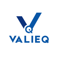ValieQ - Digital Marketing Agency in Kolkata