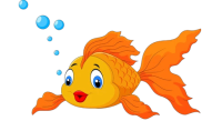 Fish Pond Construction Gurgaon