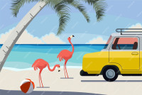 Beach Limo