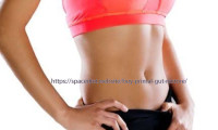 Primal Gut Restore - Price, Benefits, Side Effects, Ingredients, and Reviews