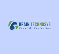Brain Technosys Pvt. Ltd.