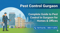 Pest Control Gurgaon – Updated Charges for Safe & Effective Services