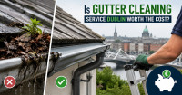 Gutter cleaning