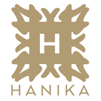 Hanika Bag Pillow in Singapore | Luxury Bags Shaper & Organizer