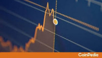Counterfeit Bitcoin Evolution tributes and audits