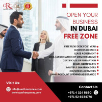 Business Setup in Dubai Free Zone