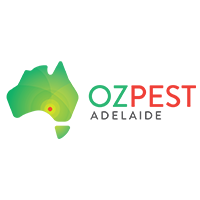 Spider Control In Adelaide | ozpestadelaide