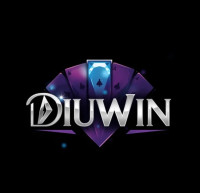Diuwin – Unlocking Smarter Digital Opportunities