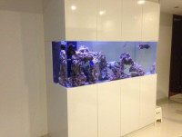 Aquarium maintenance service